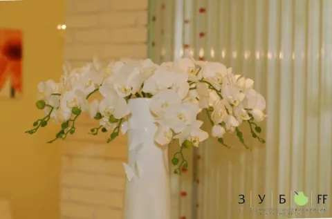 стоматология в Красноярске